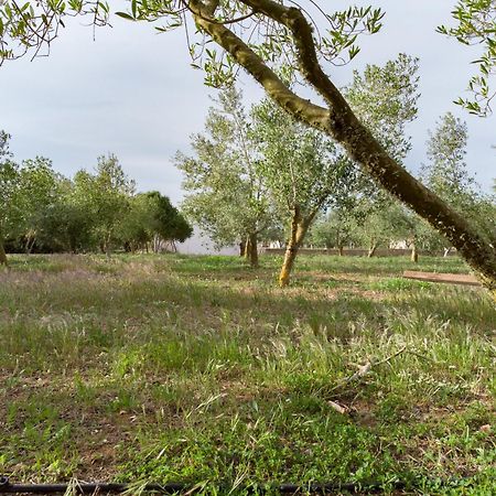 Agroturismo Malbuger Nou Menorca -Adults Only- Mahón Exteriér fotografie