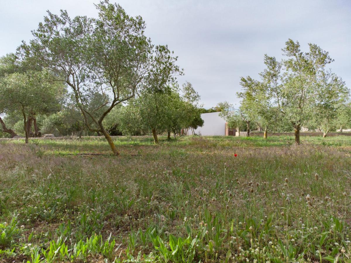 Agroturismo Malbuger Nou Menorca -Adults Only- Mahón Exteriér fotografie